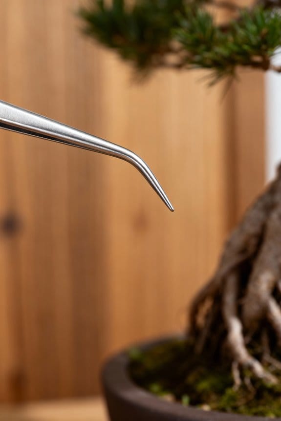 bonsai root hook considerations