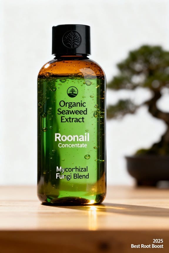 choosing bonsai root concentrate