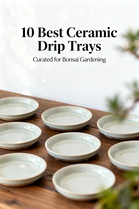 top ceramic trays for bonsai